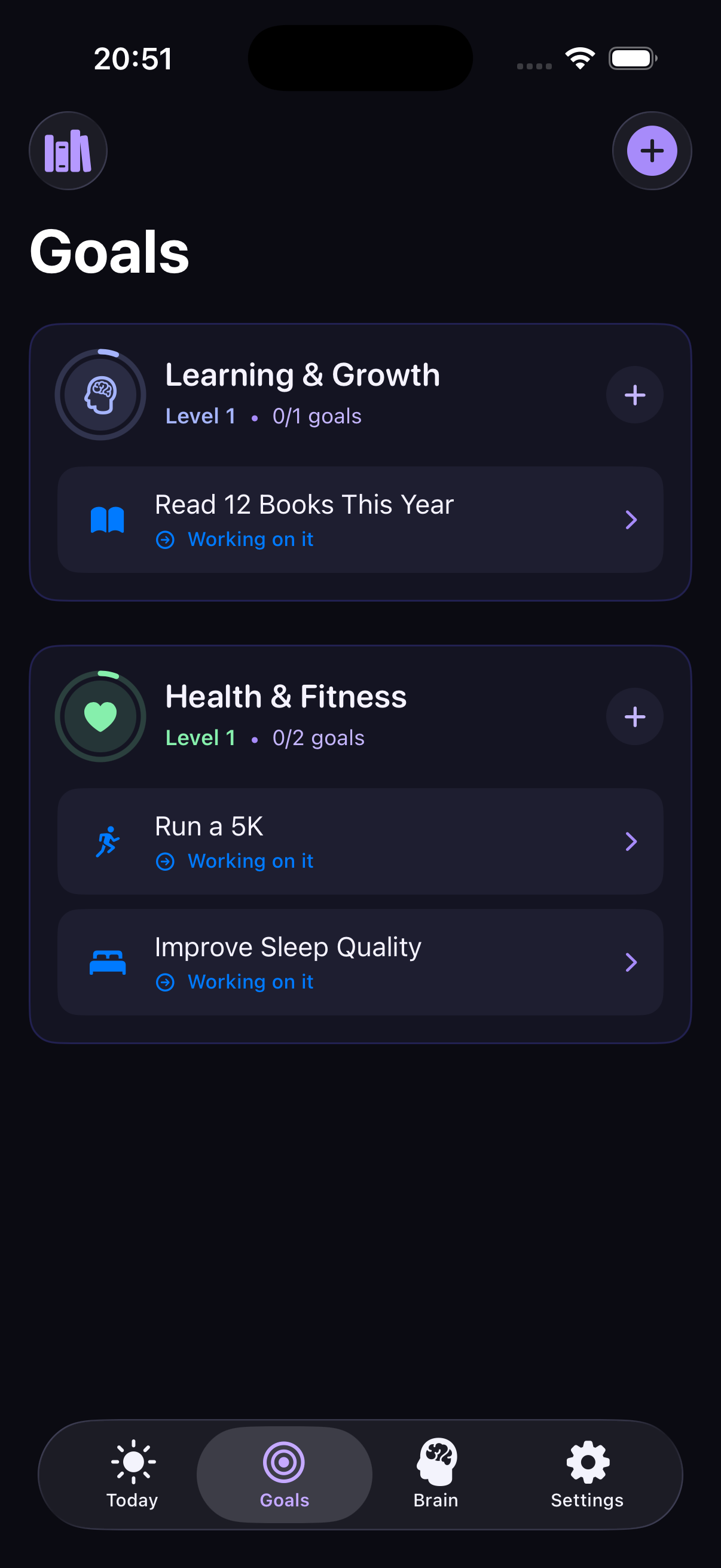 Goals organized by life area